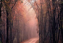 天涯论坛十大神贴盘点